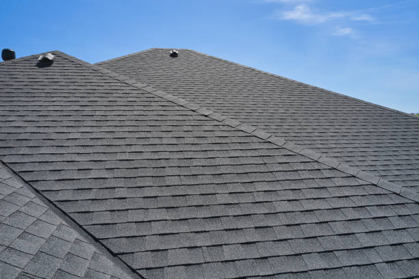 Best Roof Leak Repair  in Dale, IN